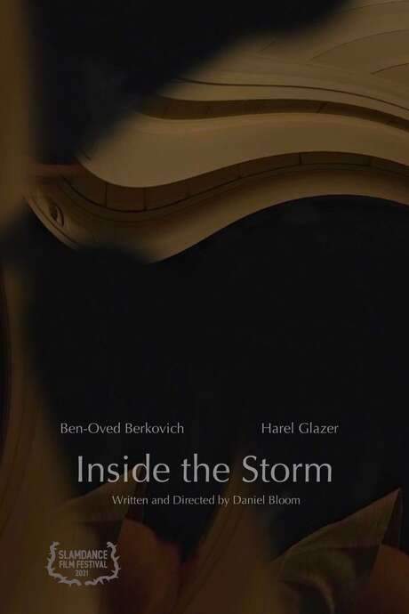 Inside the Storm (2020) movie poster