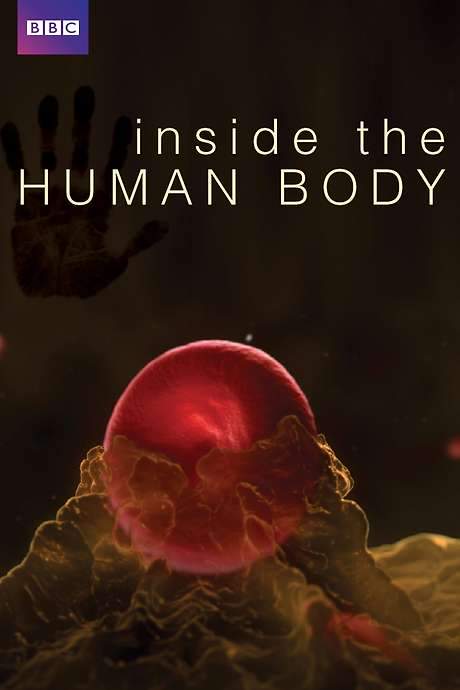 Inside the Human Body (2011) movie poster