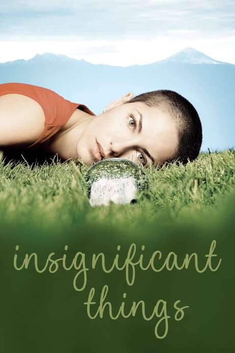 Insignificant Things (2008) movie poster
