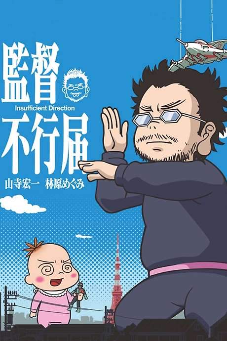 Insufficient Direction (2014) movie poster