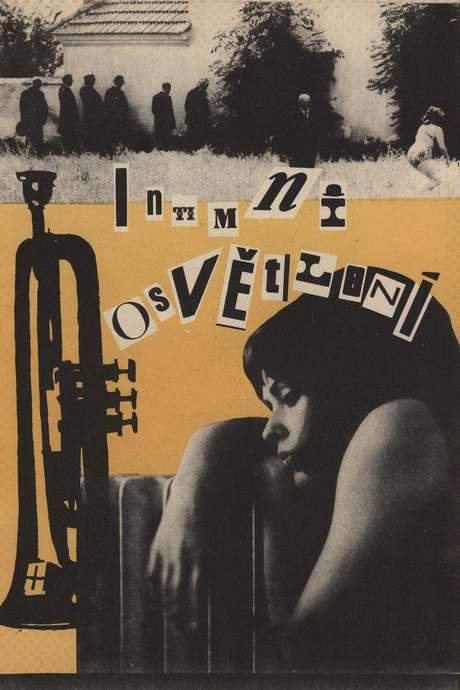 Intimate Lighting (1965) movie poster