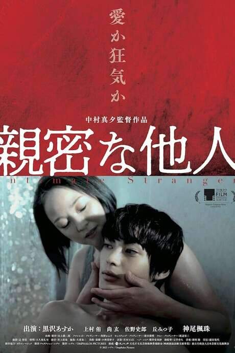 Intimate Stranger (2022) movie poster