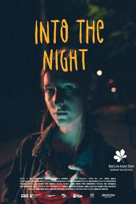 Into the Night (2020) movie poster