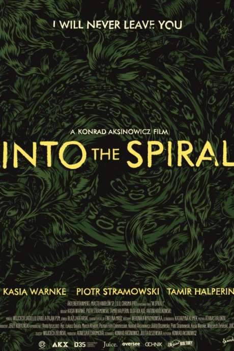 Into the Spiral (2015) movie poster