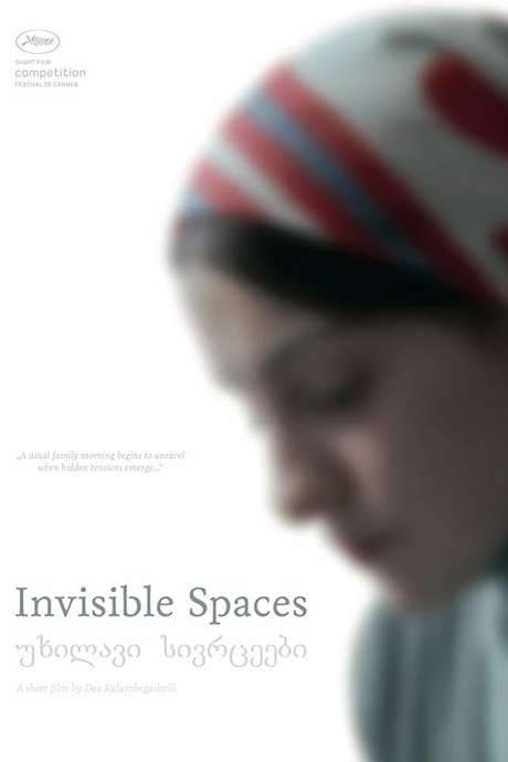 Invisible Spaces (2014) movie poster