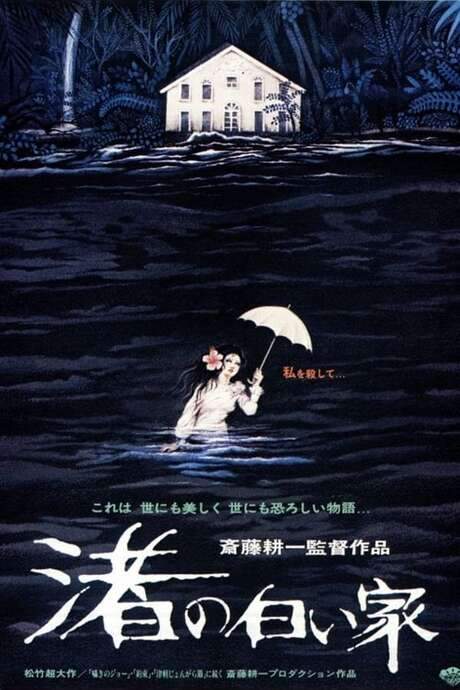 Invitation from the Beach (1978) movie poster