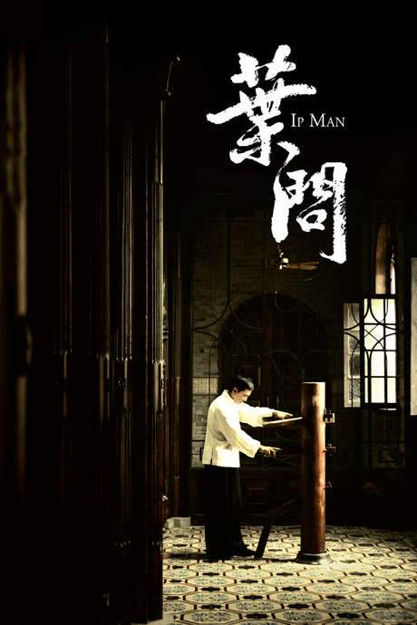 Ip Man (2008) movie poster