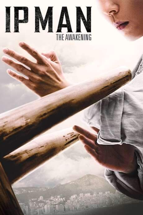 Ip Man: The Awakening (2021) movie poster