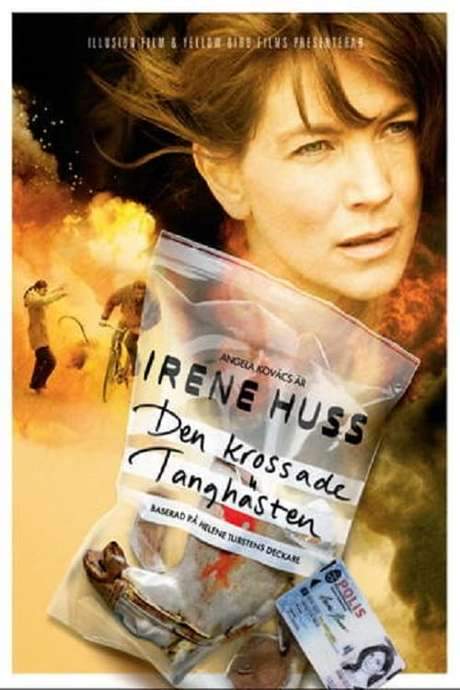 Irene Huss 2: Den krossade tanghästen (2008) movie poster