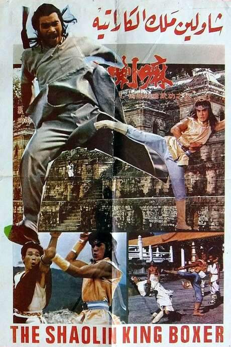 Iron Fists (1979) movie poster