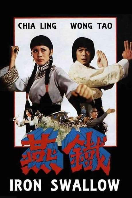 Iron Swallow (1978) movie poster