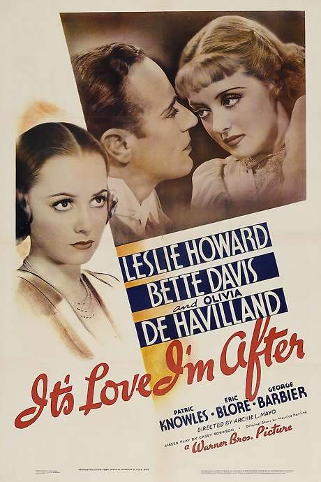 It’s Love I’m After (1937) movie poster