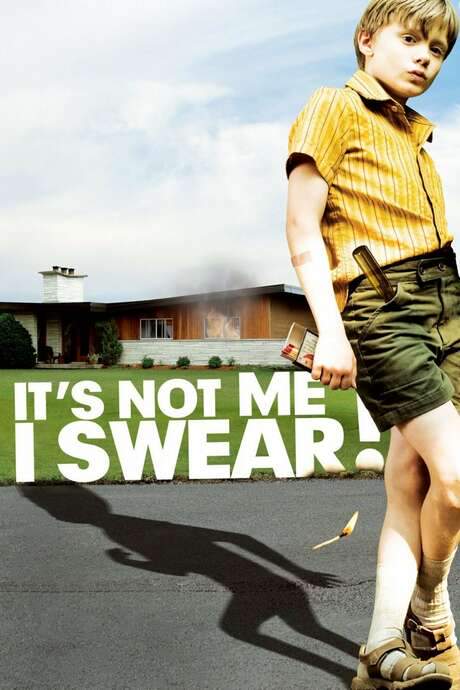 It’s Not Me, I Swear! (2008) movie poster