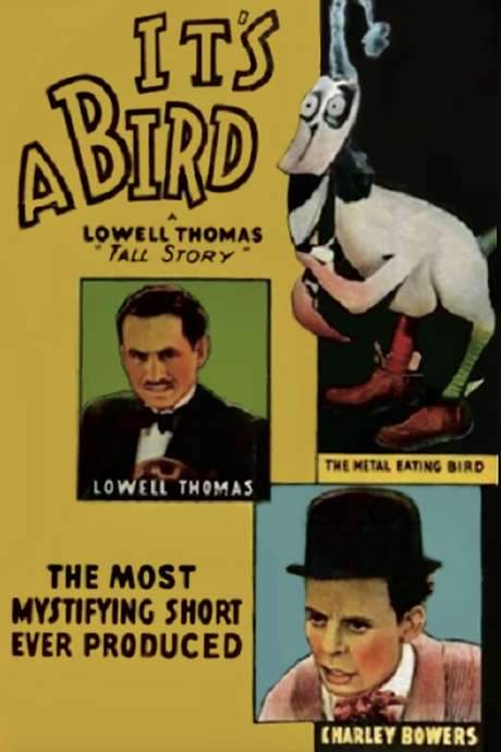 It’s a Bird (1930) movie poster
