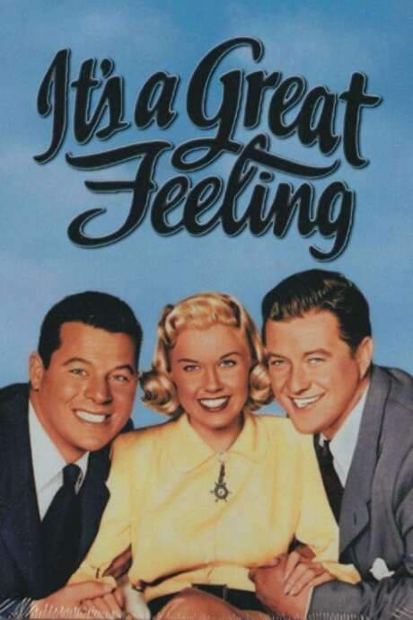 It’s a Great Feeling (1949) movie poster