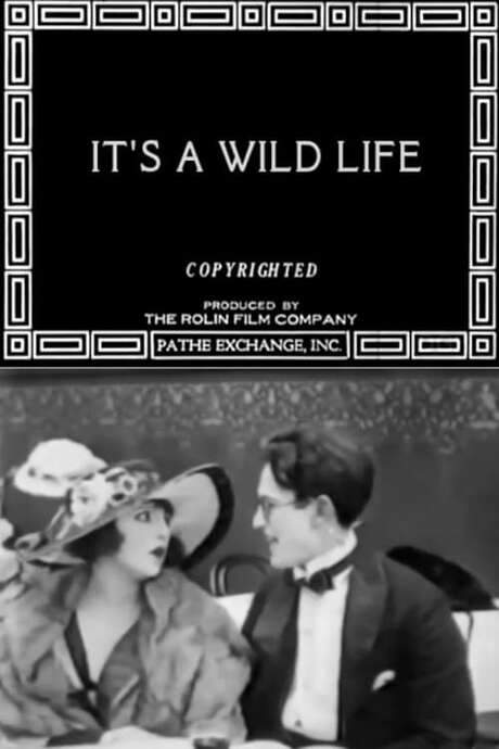It’s a Wild Life (1918) movie poster