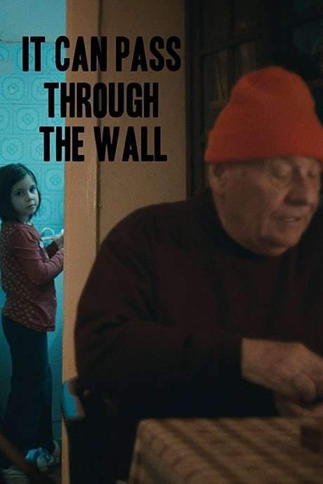 It Can Pass Through the Wall (2014) movie poster