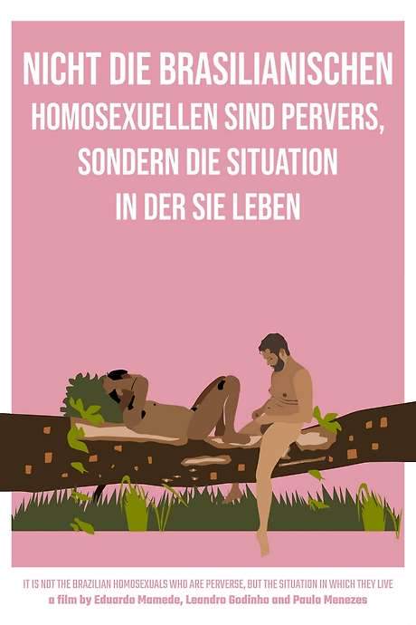 It Is Not the Brazilian Homosexuals Who Are Perverse, But the Situation in Which They Live (2021) movie poster
