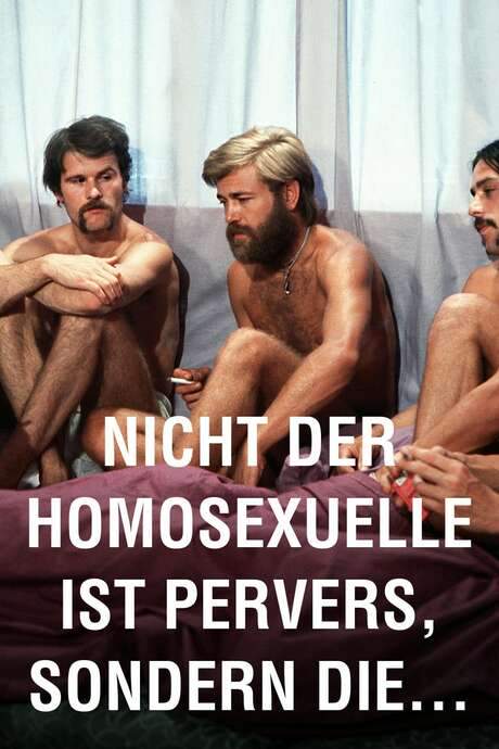 It Is Not the Homosexual Who Is Perverse, But the Society in Which He Lives (1971) movie poster