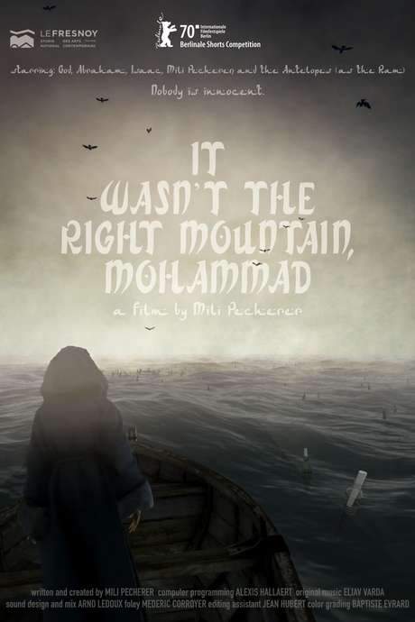 It Wasn’t the Right Mountain, Mohammad (2020) movie poster