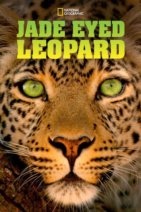 Jade Eyed Leopard (2020) movie poster