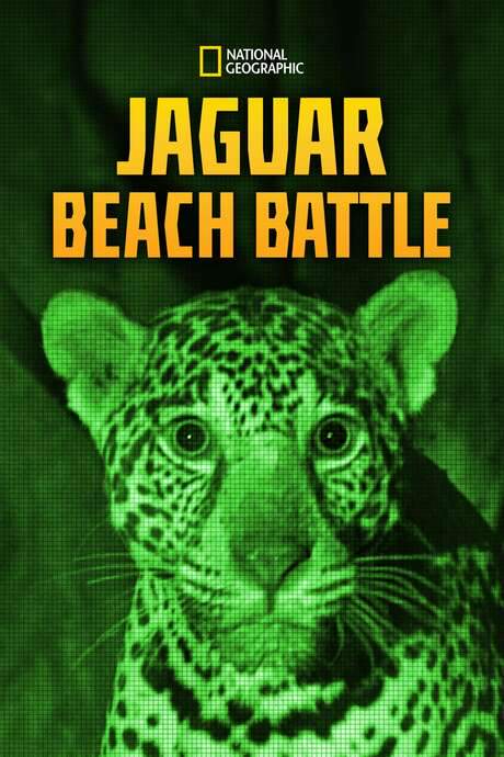 Jaguar Beach Battle (2018) movie poster