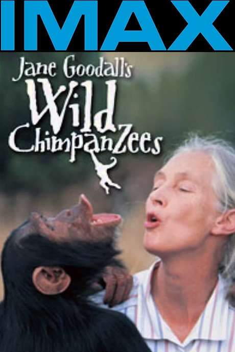 Jane Goodall’s Wild Chimpanzees (2002) movie poster