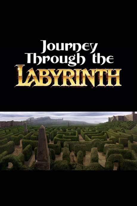 Journey Through the Labyrinth (2007) movie poster