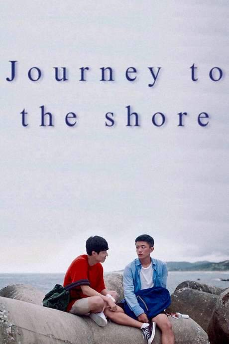 Journey to the Shore (2020) movie poster