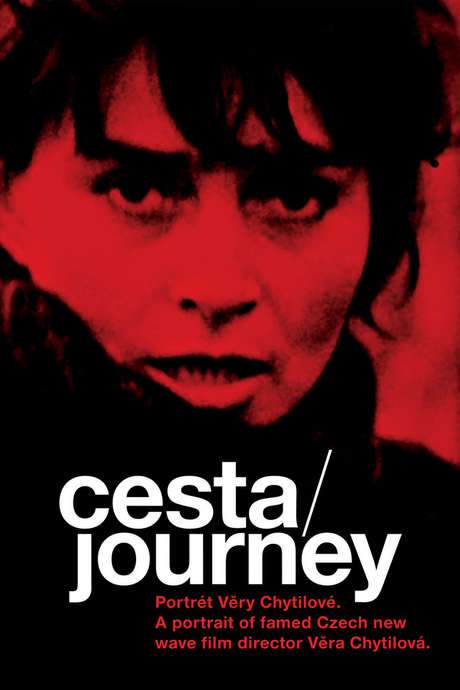 Journey: Portrait of Věra Chytilová (2004) movie poster