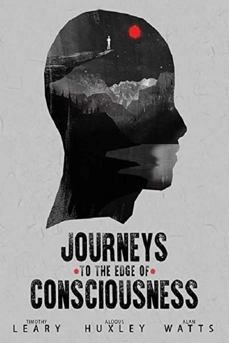 Journeys to the Edge of Consciousness (2019) movie poster