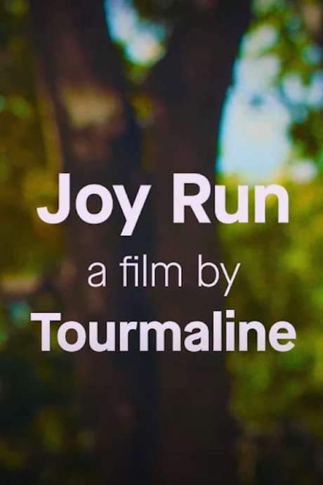 Joy Run (2020) movie poster