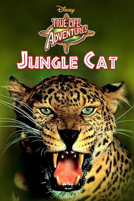 Jungle Cat (1960) movie poster