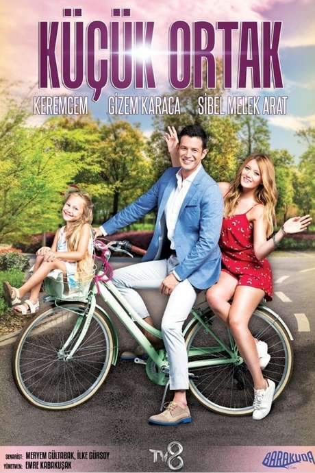 Küçük Ortak (2017) movie poster
