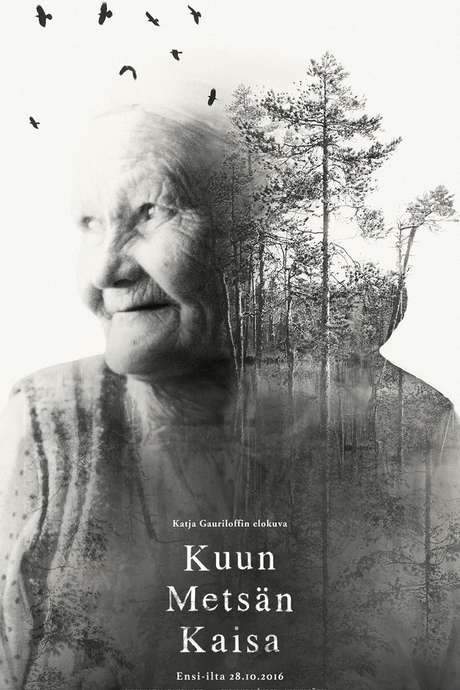 Kaisa’s Enchanted Forest (2016) movie poster