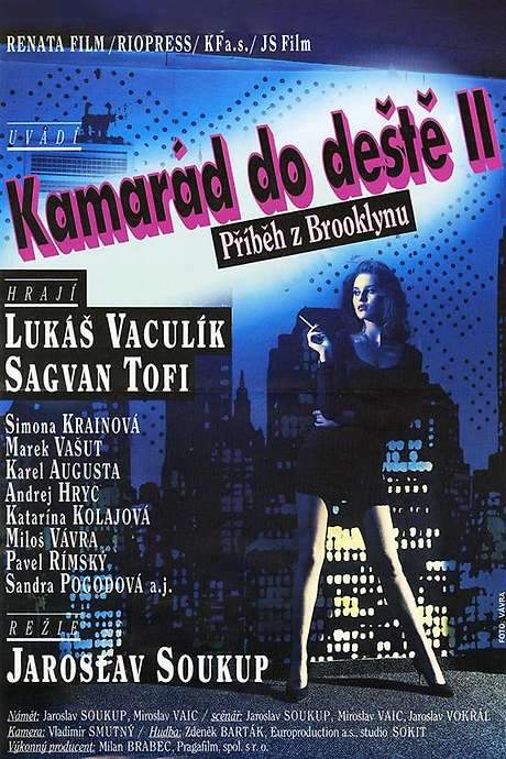 Kamarád do deště II. – Příběh z Brooklynu (1992) movie poster
