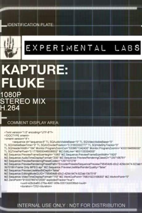 Kapture: Fluke (2017) movie poster