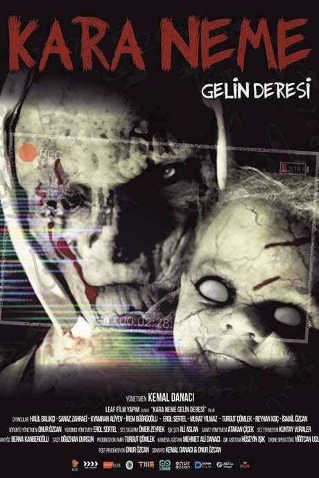Kara Neme: Gelin Deresi (2022) movie poster