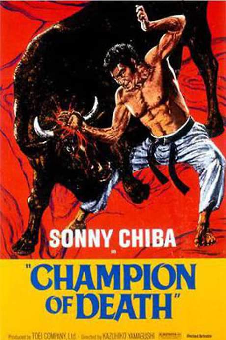 Karate Bullfighter (1975) movie poster