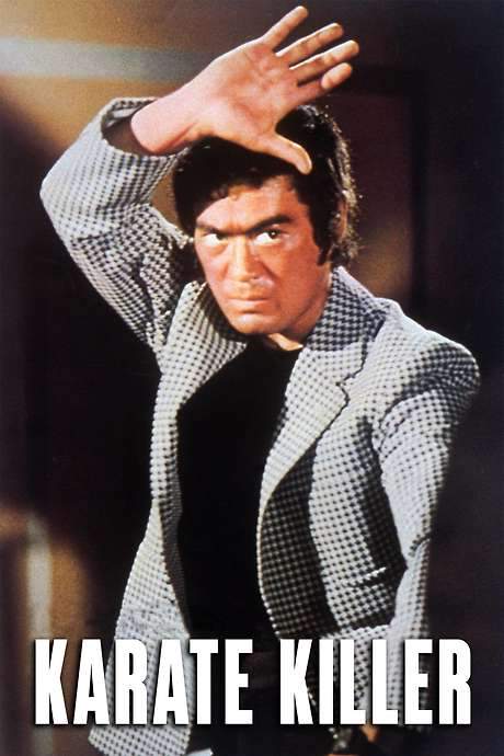 Karate Killer (1973) movie poster