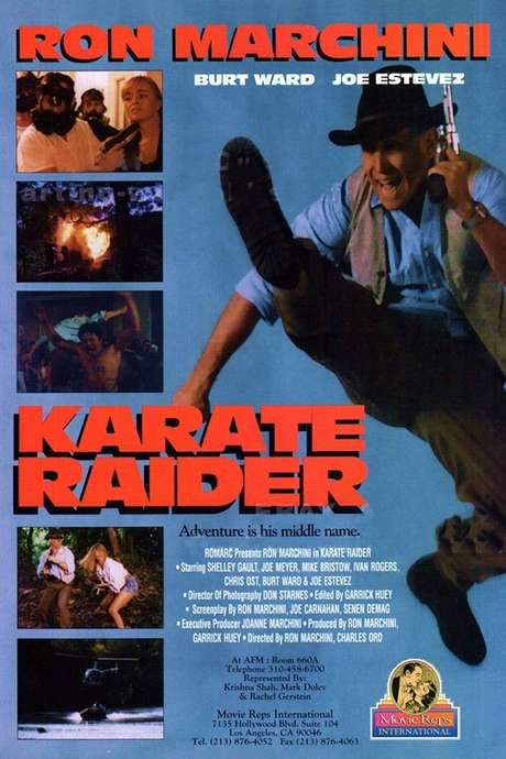 Karate Raider (1995) movie poster