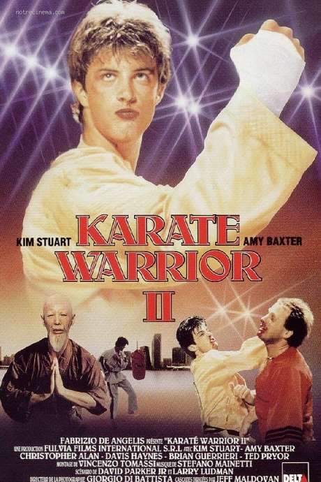 Karate Warrior 2 (1988) movie poster