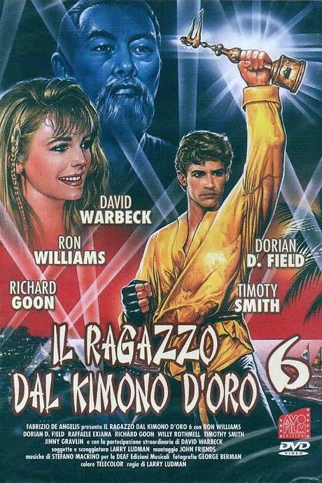 Karate Warrior 6 (1993) movie poster