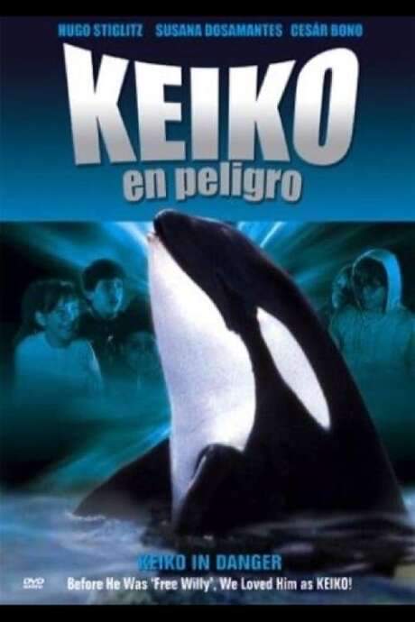 Keiko in danger (1990) movie poster