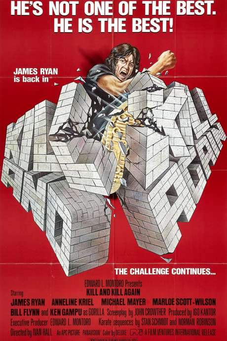 Kill and Kill Again (1981) movie poster