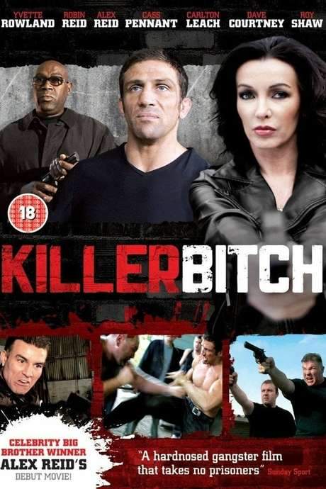 Killer Bitch (2010) movie poster