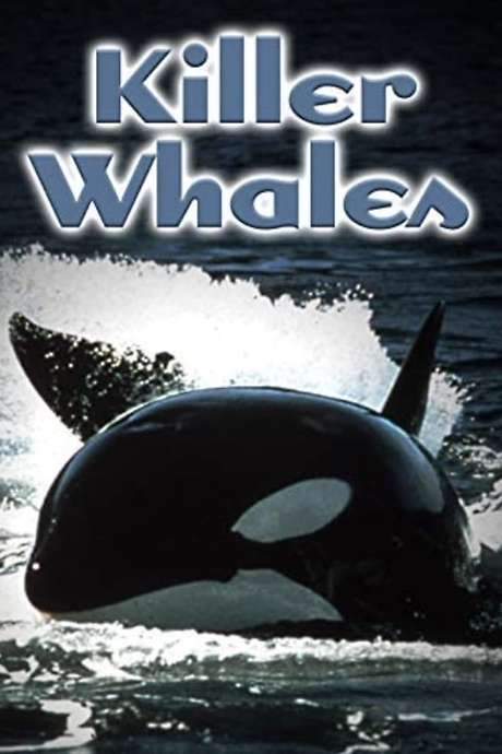 Killer Whales: Up Close and Personal (2000) movie poster