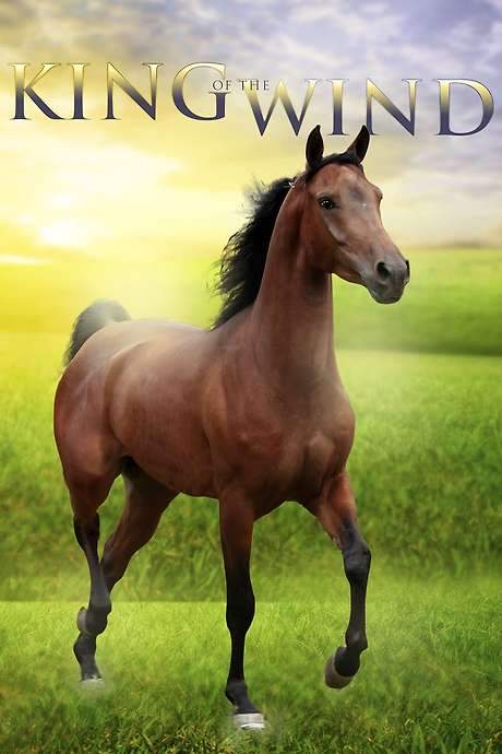 King of the Wind (1990) movie poster