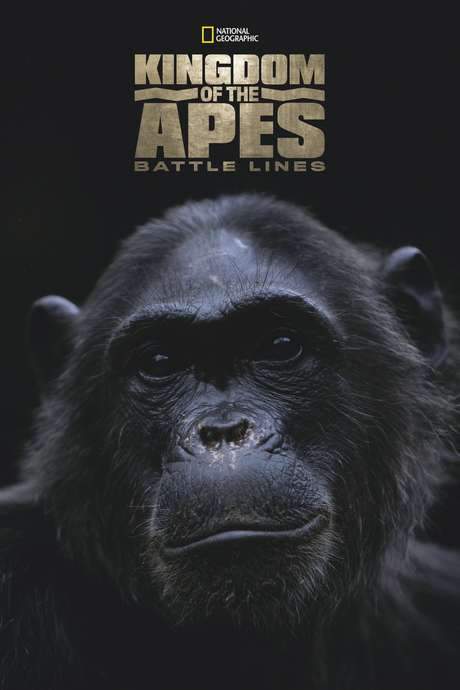 Kingdom of the Apes: Battle Lines (2014) movie poster