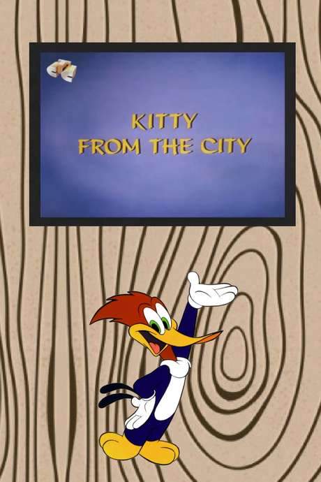 Kitty from the City (1971) movie poster